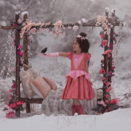Sleeping Beauty Twirl Dress